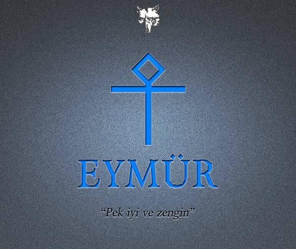 <p><strong>18- EYMÜR (EYMİR)</strong></p>

<p>Eskieğmir - Afyon-İhsaniye Eymir</p>

<p>- Amasya-Merzifon-Alıcık Kıreymir</p>

<p>- Amasya-Merzifon-Sarıbuğday Eymir(Eğmir)</p>

<p>- Amasya-Suluova İymir(Eymür-iğmir)</p>

<p>- Ankara-Yenimahalle-Kazan Aşağıemirler</p>

<p>- Ankara-Çubuk İmirli - Ankara-Delice İğmir</p>

<p>- Ankara-kızılcahamam-Pazar Eymir - Nallıhan Eymir(Eğmir)</p>

<p>- Antalya-Elmalı Dağeymiri(dağemiri)</p>

<p>- Aydın-Merkez Ovaeymiri(Ovaemiri)</p>

<p>- Aydın-Merkez Eymir</p>

<p>- Aydın-Karacasu Eğmir</p>

<p>- Balıkesir-Havran Eymir(Eymur-Eymür)</p>

<p>- Bolu-Gerede Eymir</p>

<p>- Bursa-İnegöl Eymir</p>

<p>- Çorum-Merkez Eğmir</p>

<p>- Giresun-Aluçra-Çamoluk Eymür</p>

<p>- Giresun-Tirebolu Eymür</p>

<p>- Gümüşhane-Bayburt-Demirözü Eymür</p>

<p>- Gümüşhane-Kelkit Yakaemir(Yakaeymür)</p>

<p>- Isparta-Şarkikaraağaç Eymir - Kastamonu(Merkez) Eymir(Eğmir)</p>

<p>- Kütahya-Altıntaş Eymir</p>

<p>- Malatya-Arapkir Eymir</p>

<p>- Malatya-Arguvan Eymirli(Tibyat)</p>

<p>- Mardin-Kızıltepe Eymür</p>

<p>- Ordu-Ulubey Eymir</p>

<p>- Samsun-Havza Eymir</p>

<p>- Sinop-Gerze Eymir</p>

<p>- Sivas-Hafik Eymir</p>

<p>- Sivas-Kangal-Kavak Eymir</p>

<p>- Sivas-Zara Eymür</p>

<p>- Tokat-Reşadiye Eymir</p>

<p>- Yozgat-Sorgun</p>
