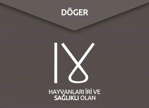 <p><strong>6- DÖĞER</strong></p>

<p>Döğer - Afyon-İhsaniye Aşağı Düver</p>

<p>- Bolu-Gerede-Çavuşlar(Dörtdivan) Yukarı-Döğer</p>

<p>- Burdur (Merkez) Döğer (Dibni)</p>

<p>- Diyarbakır-Dicle Döver (Düver)</p>

<p>- Hatay-Harbiye Düverlik</p>

<p>- İzmir-Torbalı Düğer</p>

<p>- Kayseri-Himmetdede Döğer (Düğer)</p>

<p>- Konya-Ilgın Düğer</p>

<p>- Muğla - Fethiye - Kemer Düğer</p>

<p>- Sivas-Hafik Düğer</p>

<p>- Urfa-Hilvan-Ovacık</p>
