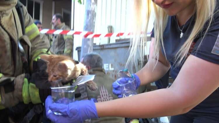 <p>Yangında dumandan etkilenen 4 muhabbet kuşu &ouml;l&uuml;rken bir kedi ise itfaiye ekipleri tarafından kurtarıldı.</p>
