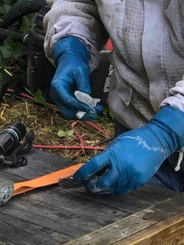 <p>Saatlerce süren çalışmanın ardından iki koloni ve iki kraliçe arı duvardan çıkarıldı... İşte işlemden kareler...</p>

<p> </p>
