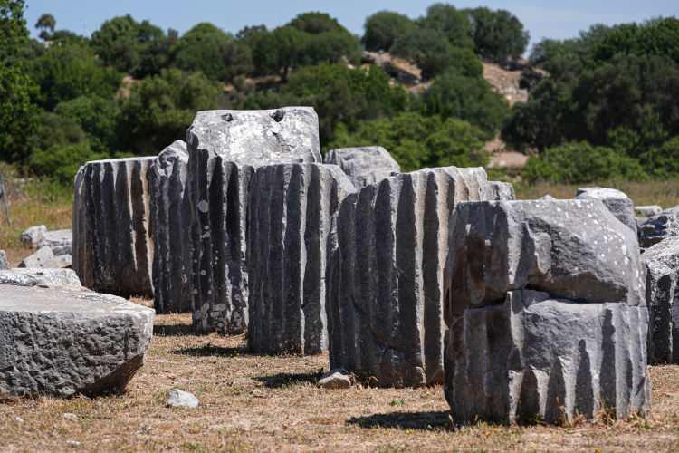 <p>MÖ 3. yüzyılda şair, tiyatrocu ve müzisyenlerden oluşan Dionysos Sanatçılar Birliği'ne de ev sahipliği yaptığı biliniyor.</p>
