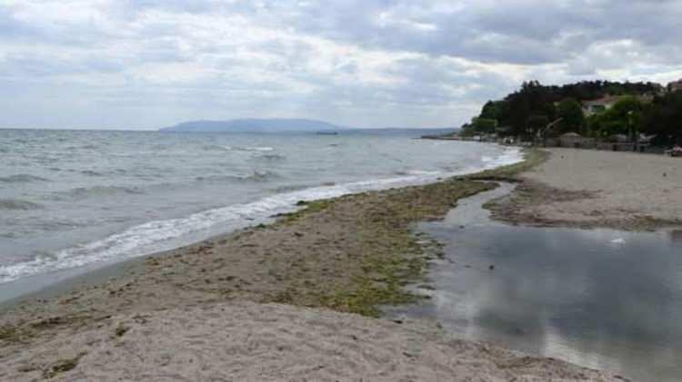 <p>İklim değişikliğinin buzulların erimesine neden olarak deniz suyu seviyelerini de etkilediğini belirten Özşahin, şunları söyledi:</p>
