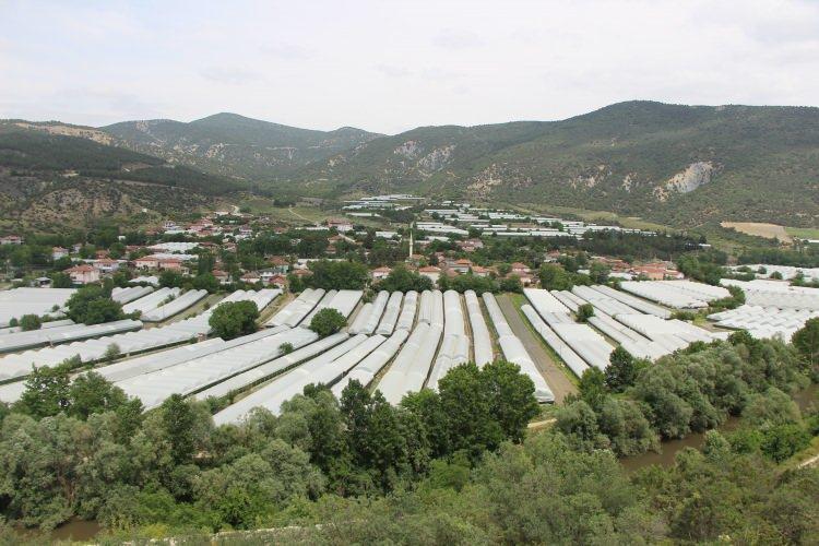 <p>Türkiye’de ağırlıklı olarak Akdeniz illerinde yapılan turfanda domates üretiminin Haziran ayı ortasında sona ermeye başlarken yurt genelinde yaklaşık 45 günlük bir ara sezon oluştuğuna işaret eden Çetin, </p>