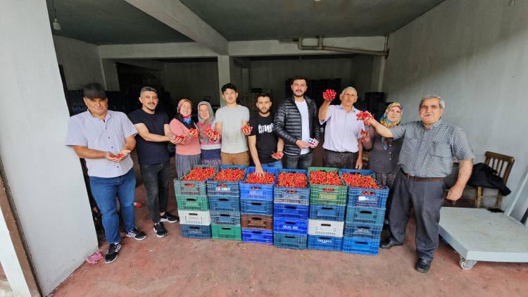<p>Aydın genelinde 8 bin 583 ton kiraz üretimi yapılırken bunun yarısından fazlası olan 4 bin 757 ton kiraz üretimi ile Nazilli büyük önem taşıyor. Üretimdeki en büyük pay ise 3 bin ton ile Aşağı Yakacık Mahallesi en başta geliyor.</p>