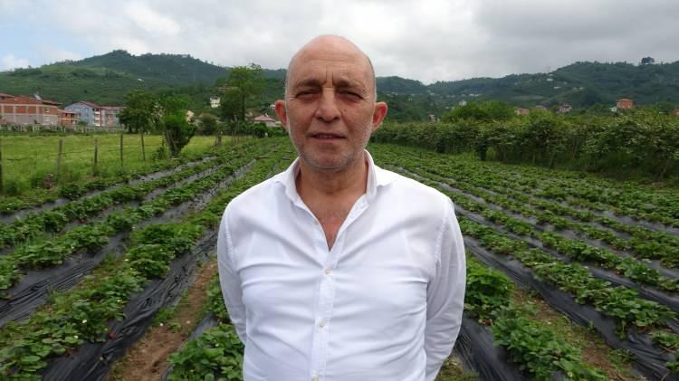 <p> Çilek üretimi ile Ordu ekonomisine yaklaşık 90 milyon TL katkı sunulması hedeflenirken, pazar sorunu ise bulunmuyor.</p>