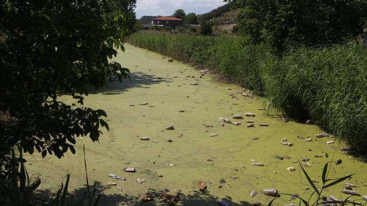 <p>Edirne’de Tunca Nehri'nin kollarından olan Bayır Deresi, kirlilik nedeniyle yemyeşil oldu.</p>

<p> </p>
