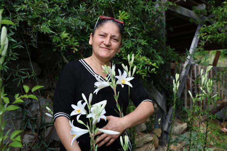 <p>5 soğan ile başladığı ve 300 soğan ürettiğini aktaran Elmalı, Hollanda’ya ihraç edilen ve Türkiye’de parfümde kullanılan çiçeğin esensanın kilosunun 5 bin Euro değerinde olduğunu kaydetti.</p>