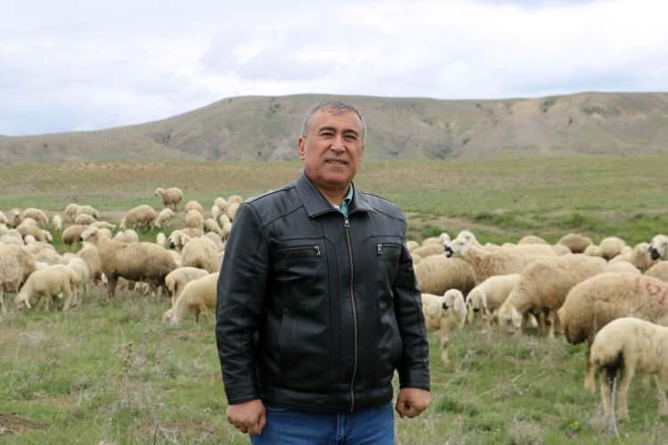 <p>Biz damızlıkta her geçen yılda ikizlik oranı daha fazla artsın diye ikiz erkekleri ve dişileri ayırıyoruz. Bu ırk ülkemizin yerli ve milli bir koyun ırkıdır. Merayı ve anızları çok güzel kullanır” şeklinde konuştu.</p>