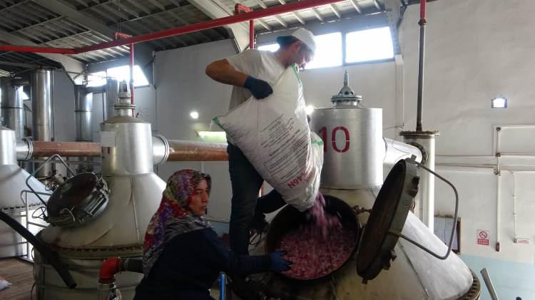 <p>Dünya gül yağı üretiminin yüzde 65'lik oranını karşılayan Isparta'da kozmetik sektörünün ham maddesi gül yağının litre fiyatı dudak uçuklatıyor. Tonlarca gül çiçeğinin kaynatılmasıyla elde edilen 1 litre gül yağının fiyatının 12 bin euro'nun üzerinde olması bekleniyor.</p>
