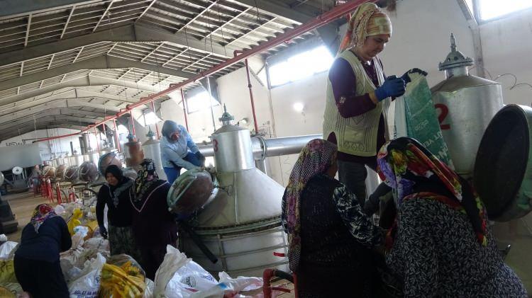 <p> Dünya piyasasında kozmetik ve parfümeri alanında kullanılan ve geçtiğimiz yıl 12 bin euro'ya kadar çıkan bir kilogram gül yağı, yaklaşık 4 ton gül çiçeğinden elde ediliyor.</p>