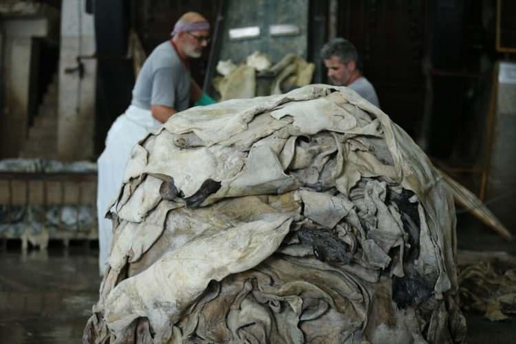 <p>Büyükbaş derisine 8 kilo, küçükbaş derisine 2 kilo olacak şekilde güzelce tuzlayıp serin bir yerde muhafaza etmemiz lazım. </p>
