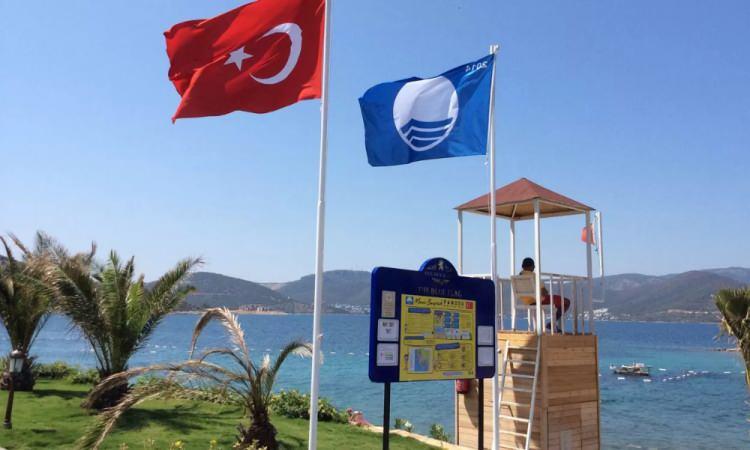 <p>Geçen yıl mavi bayraklı 551 plajı bulunan Türkiye'de, Samsun, Mersin, Kocaeli, Bartın, Ordu, Zonguldak ile Van, mavi bayrak sayısı değişmeyen iller oldu.</p>
<p> </p>