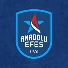 <p><strong>14) ANADOLU EFES</strong></p>