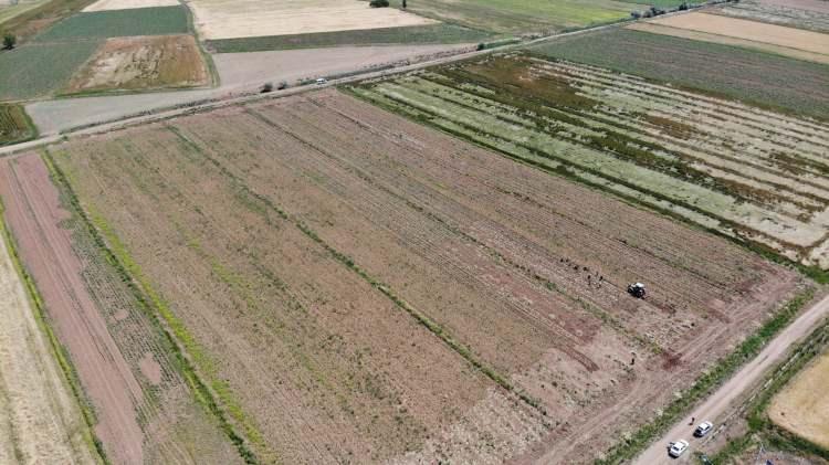 <p>Rekolte beklentimiz de 200 ton bandında bu yıl inşallah" dedi.</p>
