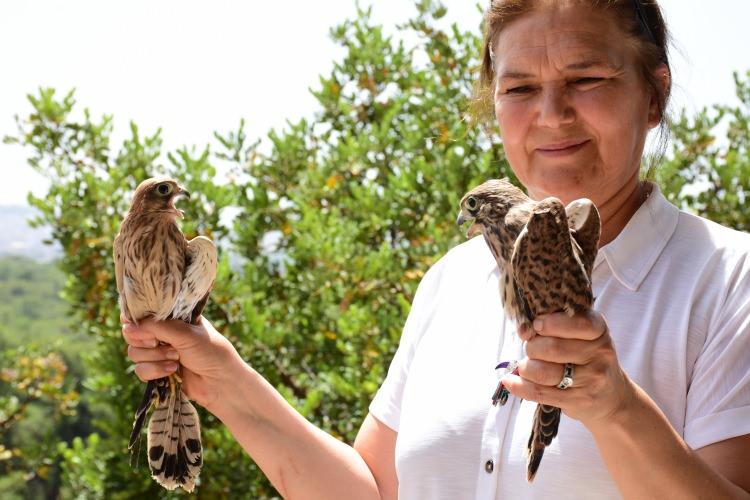 <p>Erkalaycıoğlu, <strong><em>"Mümkün olduğunca müdahale etmemeleri gerekiyor. Çünkü özellikle yavru hayvanlara, yuvadan düşen hayvanlara dokunduklarında annelerinin tekrar yavrularını alma ihtimalini de ortadan kaldırmış oluyorlar. Bu sebeple mümkün olduğunca dokunmadan 112 Acil Çağrı Merkezi üzerinden bizlere ulaşabilirler."</em></strong> dedi.</p>
