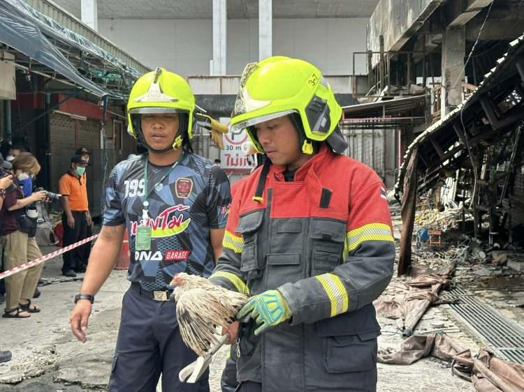 <p>Tayland’ın başkenti Bangkok’ta ünlü hafta sonu pazarı Chatuchak’ta çıkan yangında binlerce hayvanın telef olduğu açıklandı.</p>
