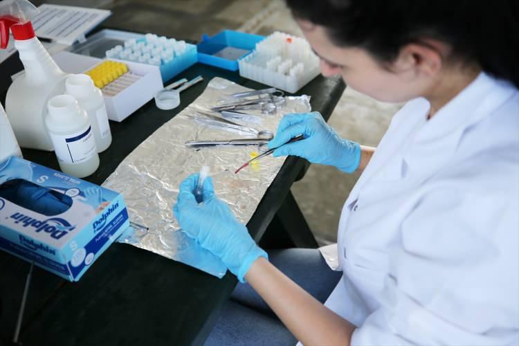 <p>Antalya'nın Alanya ilçesi açıklarında orkinos (Mavi yüzgeçli Atlantik ton) balığının göç güzergahı, üreme ve beslenme alanları hakkında veri toplamak amacıyla 32 orkinos balığına uydu bağlantılı elektronik cihaz takıldı.</p>
