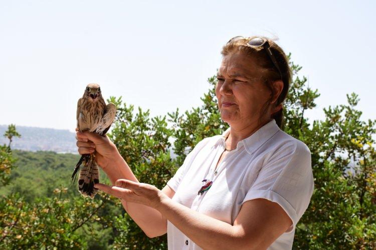 <p>Doğa Koruma ve Milli Parklar Şefi Dilek Erkalaycıoğlu ise vatandaşların, bu tür hayvanlarla karşılaştığında yapacaklarına ilişkin önemli açıklamada bulundu.</p>
