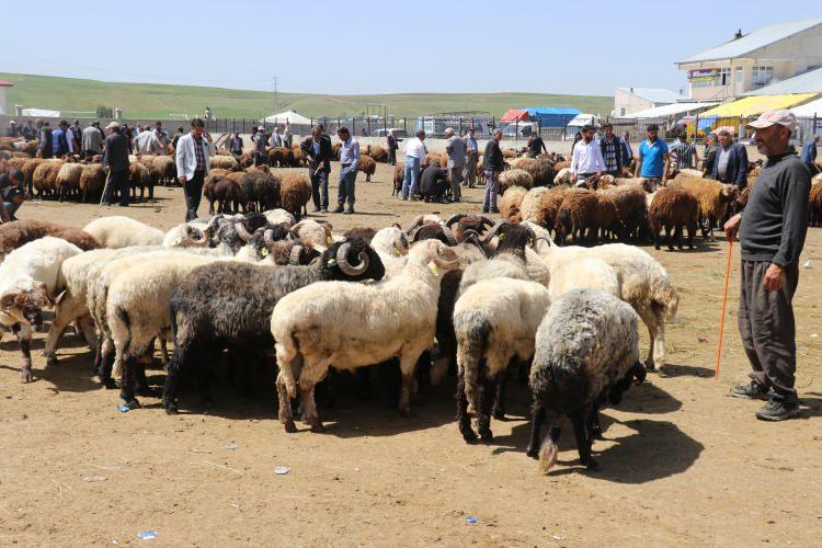 <p>Bazı satıcılar, alıcılara daha kolay ulaşmak için güney çevre yolu bölgesini tercih ediyor.</p>

<p> </p>
