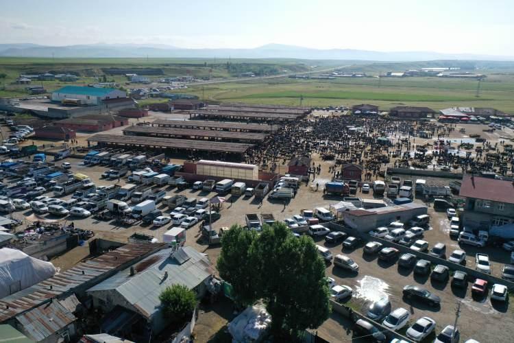 <p>Kurban bağışlarının piyasaya göre daha uygun olduğunu ve bu nedenle insanların kurbanlarını bağışlamayı tercih ettiğini belirten besiciler, bu nedenle eski günlerdeki yoğunluğun olmadığını söyledi. </p>