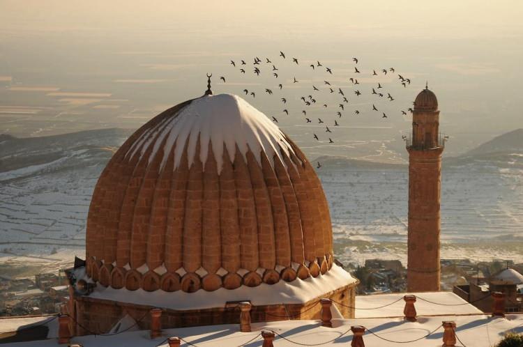 <p><strong>MARDİN 1175</strong></p>
