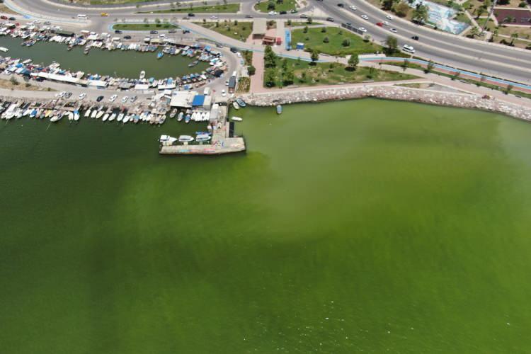 <p>Plankton patlamalarının denizde yaşayan canlılara zarar verebileceğini ifaden eden Doğan Yaşar, ş&ouml;yle devam etti:</p>

<p><strong>"Ge&ccedil;tiğimiz sene toplu balık &ouml;l&uuml;mleri oldu bu taraflarda. Ortamda oksijen kalmayınca, &ouml;l&uuml;nce bu planktonlar, bunların bazıları zehirlidir. Balık bunları yerse &ouml;l&uuml;r; yani doğrudan herkese, b&uuml;t&uuml;n canlılara etkisi var. Tek bir iş var. Bu kadar &ccedil;ok zor olmaması lazım. Arıtma testleri &ccedil;alıştırılmalı hepsi bu."</strong></p>
