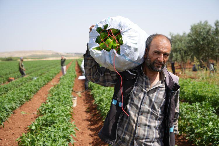 <p>Geçen sene tarladaki biberin fiyatı 5 TL den satılırken bu sene ise bu fiyat 25 TL'ye kadar ulaştı'' şeklinde konuştu.</p>