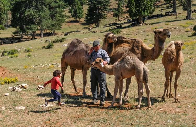 <p>'GÖREVLİLER MÜSAİT YERLERİ GÖSTERİYOR'</p>
<p> </p>