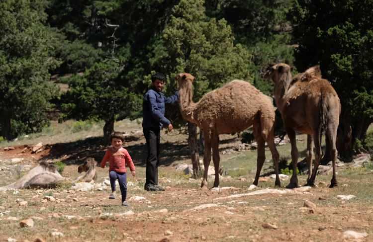 <p>'TORUNUM OKUMAK İSTERSE ÇADIRI SÖKER İNERİZ ŞEHRE'</p>
<p> </p>