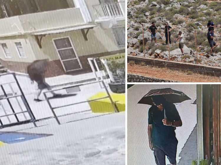 <p><span style="color:#000000"><strong>Adanın belediye başkan yardımcısı Nikitas Grillas The Guardian'a yaptığı açıklamada "Aya Marina bölgesinde bulundu" dedi.</strong></span></p>