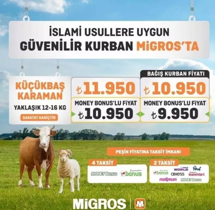 <p>Bağış kurban fiyatı ise 10 bin 950 lira, Money Bonus'lu fiyatı 9 bin 950 lira; Küçükbaş Kıvırcık (16-20 kg) 14 bin 800 lirayken Money Bonus'lu fiyatı13 bin 800 liradan satışı yapılıyor.</p>
