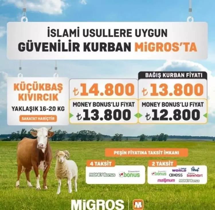 <p>Bağış kurban fiyatı ise 13 bin 800 lira, 12 bin 800 lira; Büyükbaş 1/7 hisse (23-27 kg kemiksiz hisse sakatat hariç) 19 bin 950 lirayken Money Bonus'lu fiyatı 18 bin 950 liradan satışı yapılıyor. </p>
