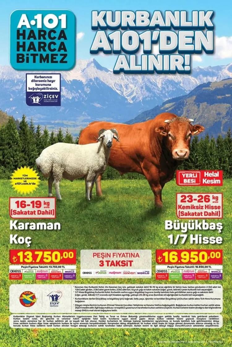 <p> A101'de Karaman Koç (16-19 kg sakatat dahil) 13 bin 750 lira, Büyükbaş 1/7 kemiksiz hisse (23-26 kg sakatat dahil) 16 bin 950 liradan satışa verilerek 3 taksit yapma fırsatı veriliyor.</p>
