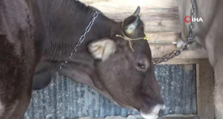 <p><strong>“20 bin liraya yakın paramızı dolandırıcılara kaptırdık”</strong><br />
Malatya da depremde etkilenen ve Zara'nın Eymir köyüne yerleşen depremzede Hıdır Öztürk, şunları söyledi; </p>
<p> </p>