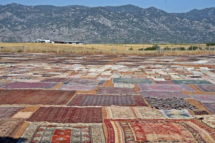 <p>Topkara, “Tarlalarımız boş kalmıyor. Yazın halı, kışın buğdayda kullanıyoruz. İlk önce güveler temizleniyor ve sırtları yakılıyor.</p>