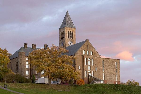 <p><span style="color:#B22222"><strong>5) CORNELL ÜNIVERSITESI: CORNELL ÜNIVERSITESI</strong></span></p>