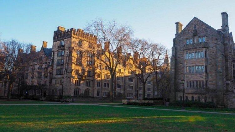 <p><strong>MİLYARDERLERİN TOPLAM SERVETİ: 149 MİLYAR DOLAR</strong></p>
<p> </p>
<p>Yale Üniversitesi, toplam net serveti 149 milyar dolar olan 19 milyarder yetiştirdi. Mars ailesi, M&M's, Snickers ve Twix gibi ikonik şekerlemelerle tanınan ABD'nin en zengin ikinci ailesi, Yale mezunları arasında yer alıyor.</p>