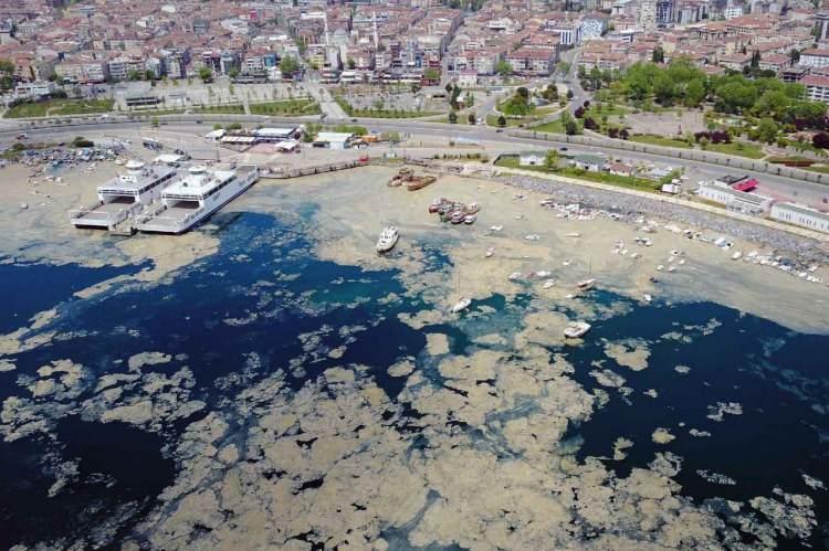 <p><em><strong>Eğer Marmara Denizi'nin çevresindeki yerel yönetimlere bakarsak, hiçbirisi de zikretmiyor. Sanayi kuruluşlarına sorarsak, kontrolü yapan kamu yöneticilerine, onların da mükemmel şekilde denetim faaliyetlerini yerine getirdiklerini söylediklerine şahit oluyoruz. Bu kirlilik devam ederse, ekosistemine ömür biçemeyeceğimiz Marmara Denizi, her gün, biraz daha bozulacak. Biraz daha Marmara Denizi'nden yararlanamaz hale geleceğiz. Balıklar azalacak. Denize girme noktasında daha çok risk var. Şu anda yaşadığımız gibi. Bu yüzden denizdeki kirliliği mutlaka ve mutlaka azaltmamız gerekiyor."</strong></em></p>