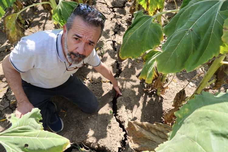 <p>Havanın çok ısınmasından kaynaklı arazide buharlaşma ani olduğu için çatlaklar oluştu.</p>