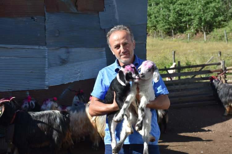 <p> Bununla birlikte mahalle sakinleri asırlık geleneklerini devam ettirdi. Hayvanları gelin gibi süslediklerini belirten Muhammet Köse, “Hayvanları dün gece süsledik ve yaylaya çıkacağız. Yaylada yaklaşık 6 ay kadar kalacağız” derken Halil Köse, “Akşamdan hayvanların boyamasını yaptık sabah ise püsküllerini taktık. </p>
