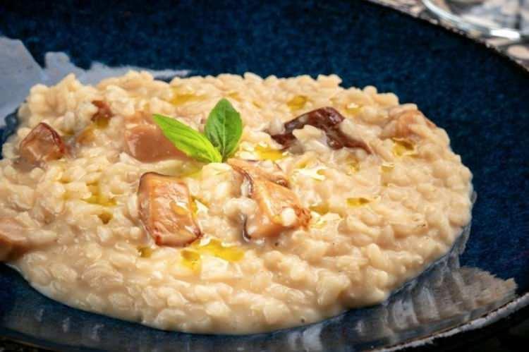 <p><strong>74- Risotto ai funghi porcini</strong></p>
<p> </p>
<p><strong>İtalya</strong></p>