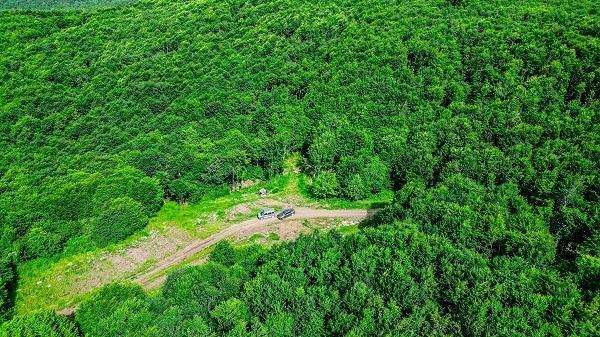 <p>B&ouml;lgeye gelenler, bidonlarla su doldurarak evlerine g&ouml;t&uuml;r&uuml;rken, &ccedil;evre illerden de suya rağbet oluyor. &Ouml;zellikle şeker hastalığı ve diğer rahatsızlıkları olanlar, suyun kendilerine iyi geleceğine inanırken, suyun sağlık &uuml;zerindeki etkileri bilimsel olarak hen&uuml;z tam anlamıyla kanıtlanmadı.</p>

<p>&nbsp;</p>
