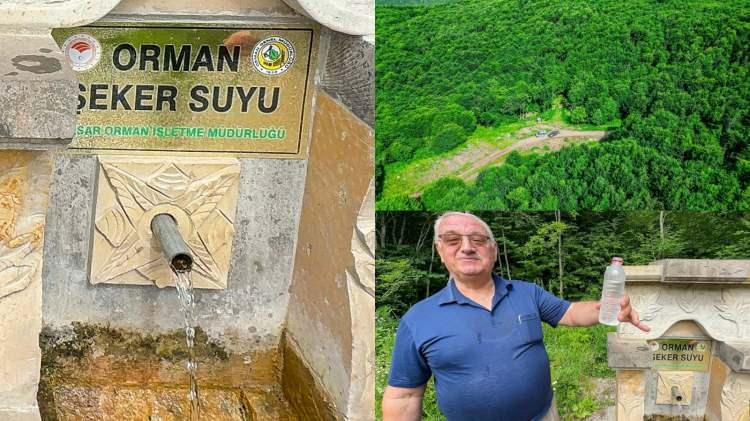 <p><span style="color:#B22222"><em><strong>Orman m&uuml;d&uuml;r&uuml;m&uuml;zde şeker hastalığı vardı ve bu su ona &ccedil;ok iyi geliyordu. Yol yapıldı ama kumlaması yapılacak. Buraya zorla geldik. Bu yolun kumlaması olması lazım ki buraya rahat gelsinler. Buranın havası &ccedil;ok g&uuml;zel. S&ouml;z verdiler, kamelyalar yapılacak. Orman iş&ccedil;ileri burada &ccedil;alışırken &ccedil;adırlar vardı. Orman iş&ccedil;ilerinden iki tane şeker hastası varmış. Şeker 500'den aşağı d&uuml;şm&uuml;yormuş. Sudan i&ccedil;tikten sonra 100'e d&uuml;şm&uuml;ş.&nbsp;</strong></em></span></p>
