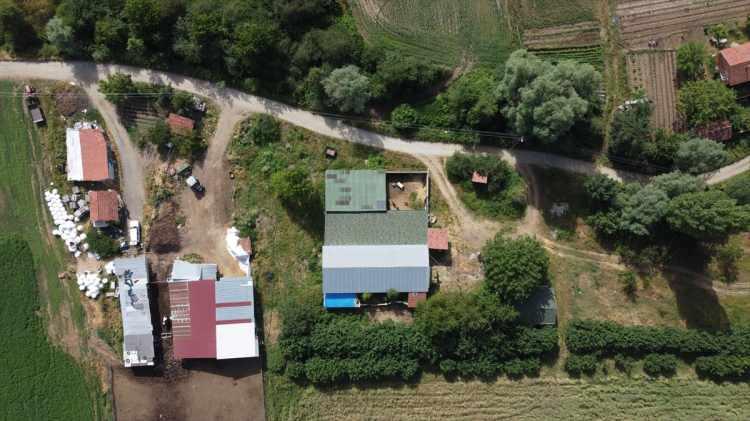 <p>Kezban Ayyer, AA muhabirine, keçilerinin 3'üncü kuşak yavrularının doğduğunu, elinde 12 anaç ile 23 oğlak bulunduğunu söyledi.</p>

<p> </p>
