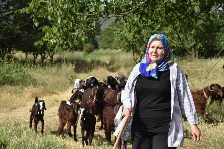 <p>Ürünlerimi sosyal medya ve telefonla satıyorum. Artık bir müşteri portföyüm var. Küçük mandıramda sütümü süzüp mayalıyorum. Serin ortamda olgunlaşınca soğutucuda bekletiyorum." diye konuştu.</p>

