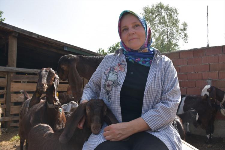 <p>Ayyer, hayvanlarla bir arada olmaktan hoşlandığını, doğum zamanlarında büyük heyecan duyduğunu dile getirdi.</p>

<p> </p>
