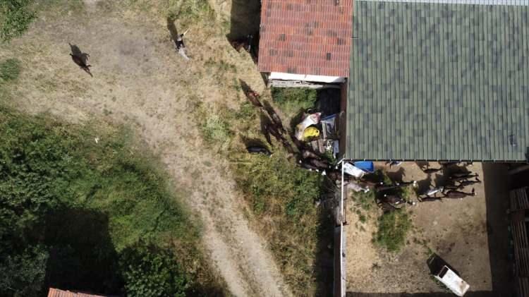 <p>Keçilerini karakterlerine göre isimlendirdiğini anlatan Ayyer, şunları kaydetti:</p>

<p> </p>
