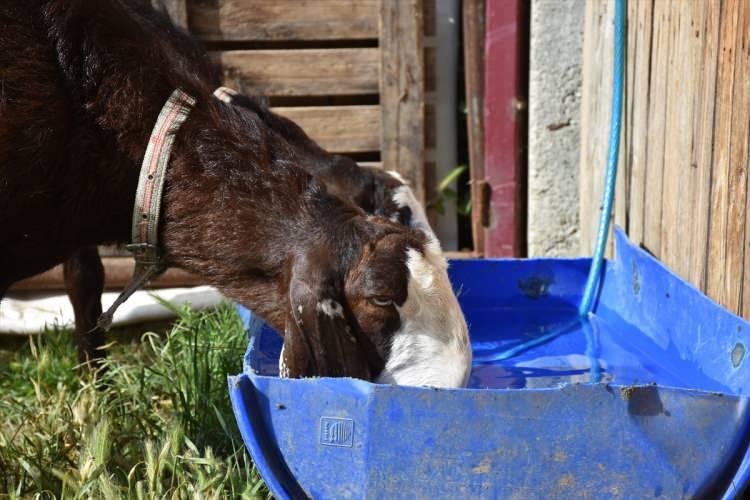 <p>Birçok şeye zamanınız da yetiyor. Butik olarak devam edebildiğim yere kadar edeceğim. </p>
