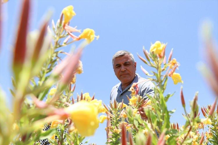 <p>Bu da bölge üreticisi adına önemli bir adım ve çiftçilerimizle irtibat halindeyiz."</p>
