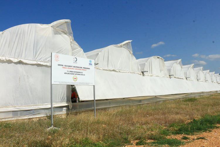 <p>Projemizin adı 'Erbaa Çiçeklerle Güçlensin' projesidir. Bu projenin destekçisi, Orta Karadeniz Kalkınma Ajansı SOGEP programıdır.</p>